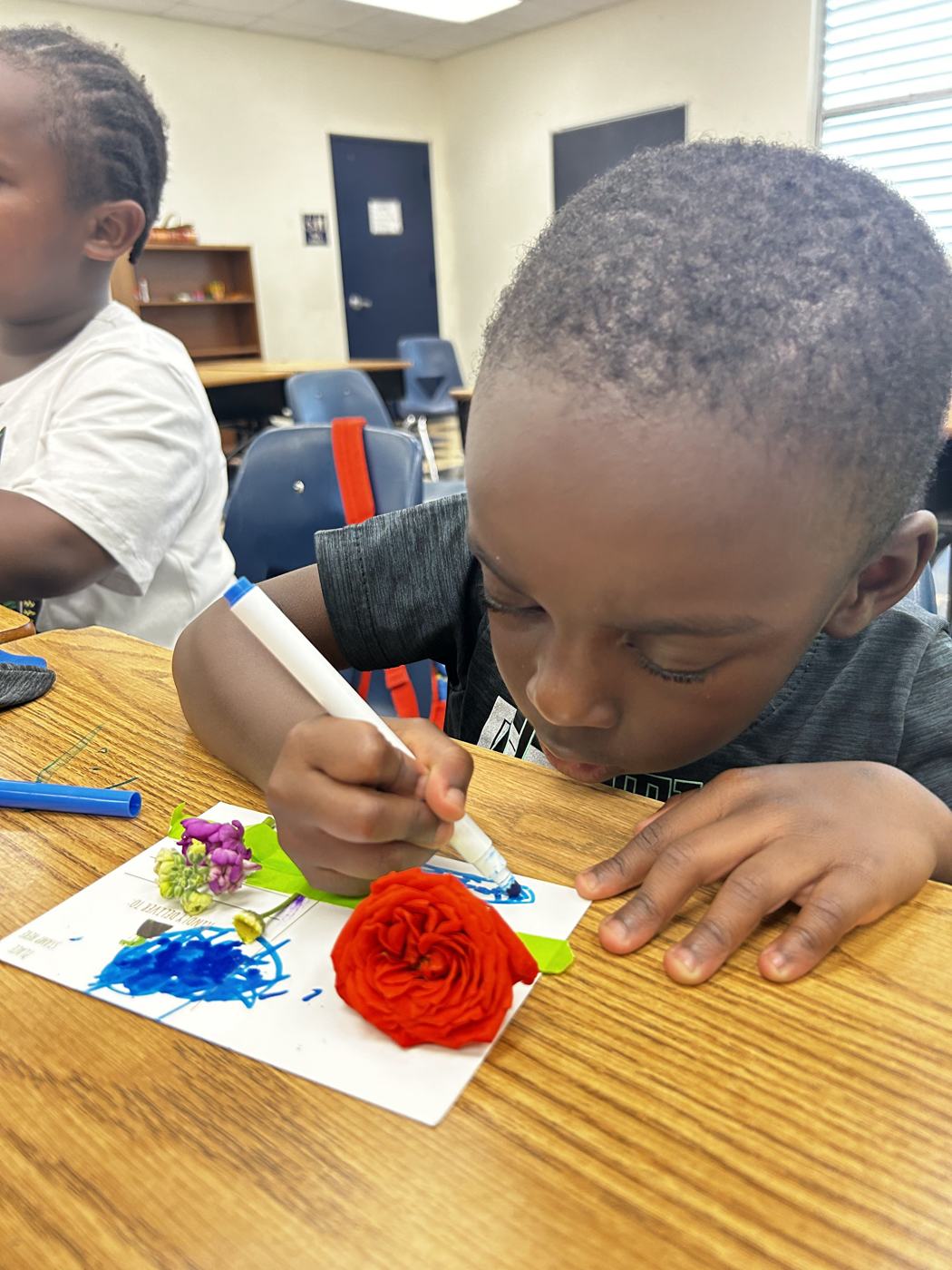 A student drawing on a card beside a red rose